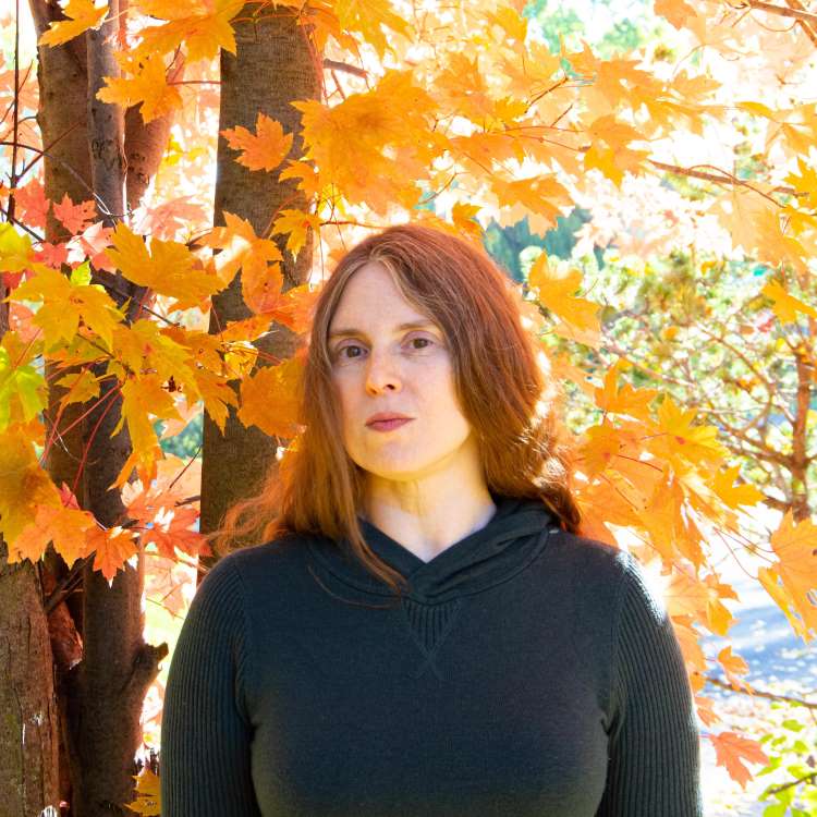 Marissa Lingen, author image