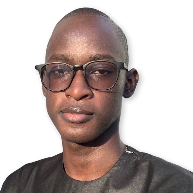 Moustapha Mbacké Diop, author image