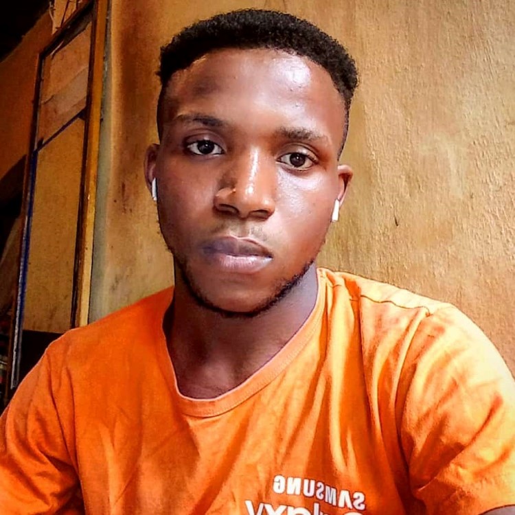 Nnadi Samuel, author image