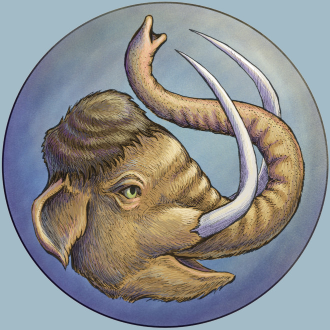 Cynthia Zhang, author image